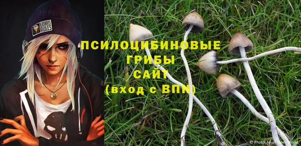 герыч Арсеньев