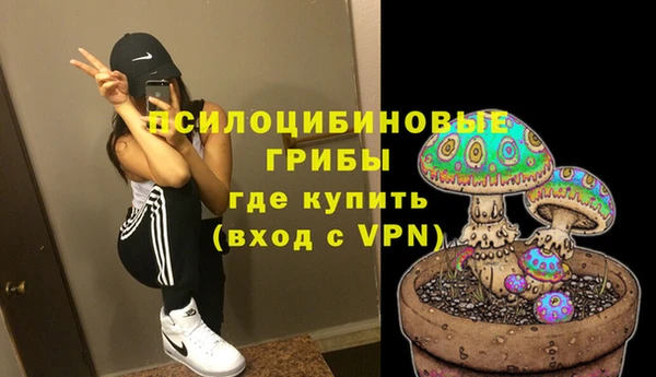 прущий лед Аркадак