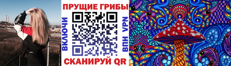 МЕГА сайт  Нефтекумск  Галлюциногенные грибы Magic Shrooms 